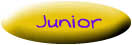 Junior College